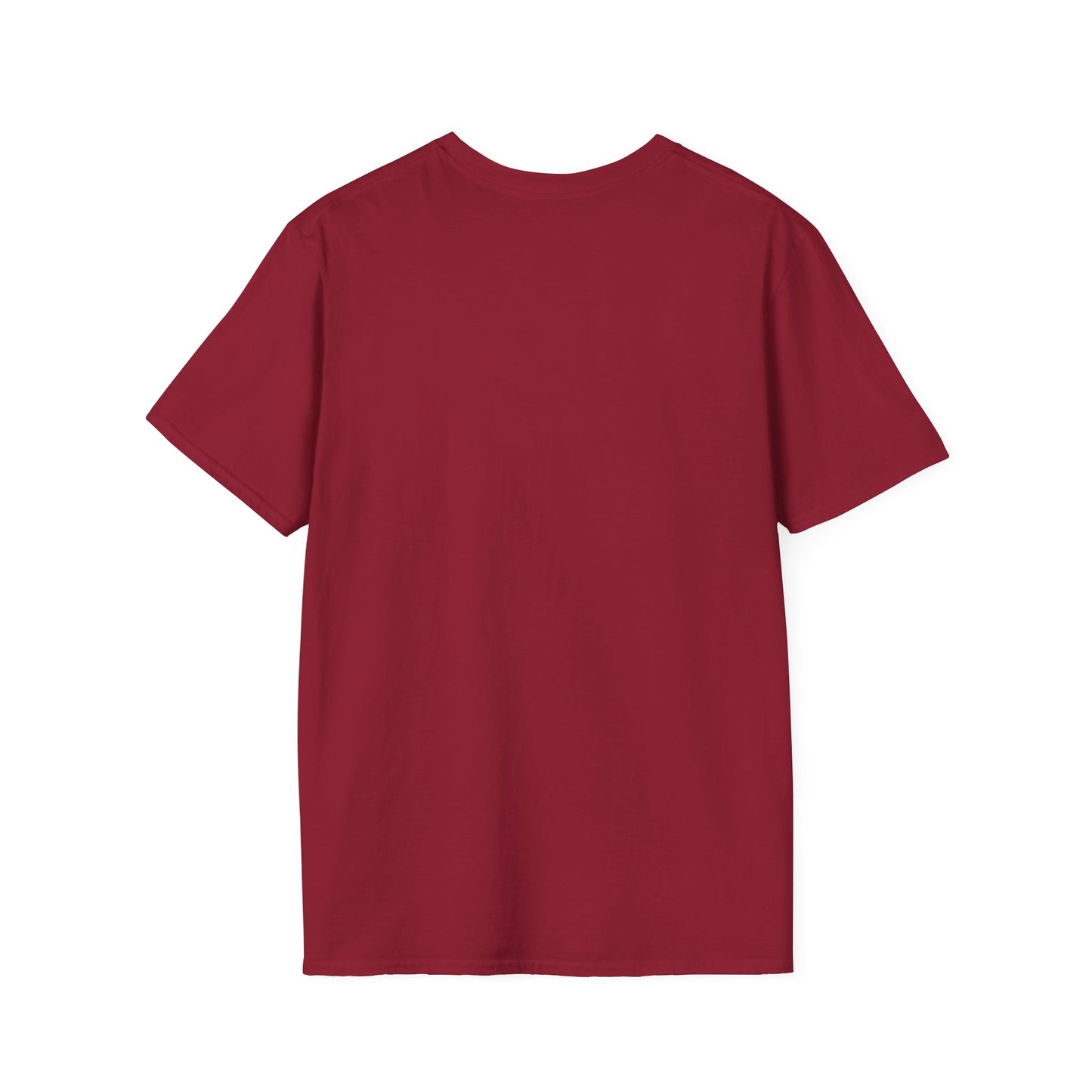 Pride of India T-Shirt